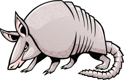 Armadillo Cartoon Clip Art, Vector Images & Illustrations