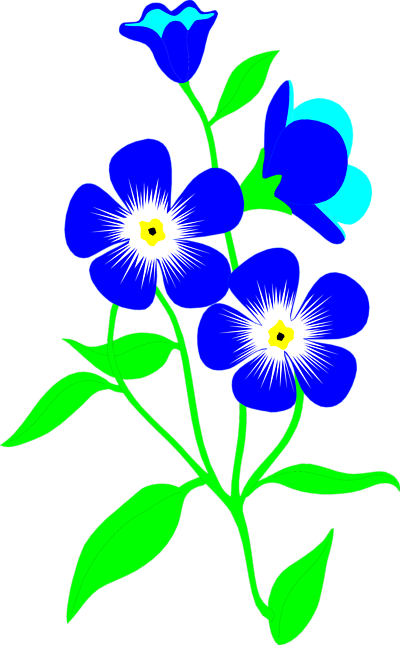 Forget Me Not Flower Clip Art