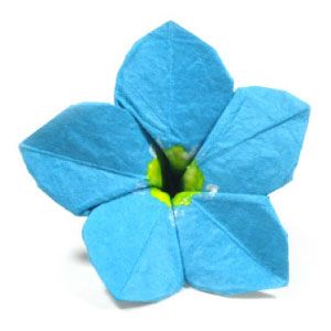 1000+ images about Forget-Me-Nots....Alzheimer's and Dementia on ...