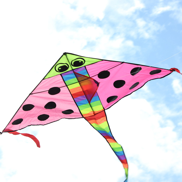 Outdoor Entertainment Kites Pink Cartoon Fish Kite Easy Fly For ...