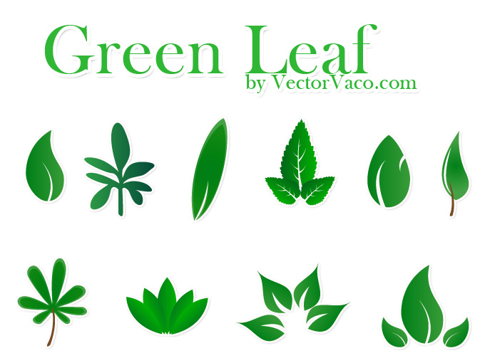 Vector Green Leaf Free Vector - Nature Vectors | DeluxeVectors.com