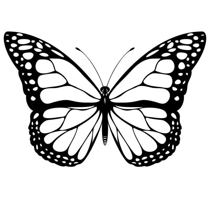Free clipart monarch butterfly - ClipartFox
