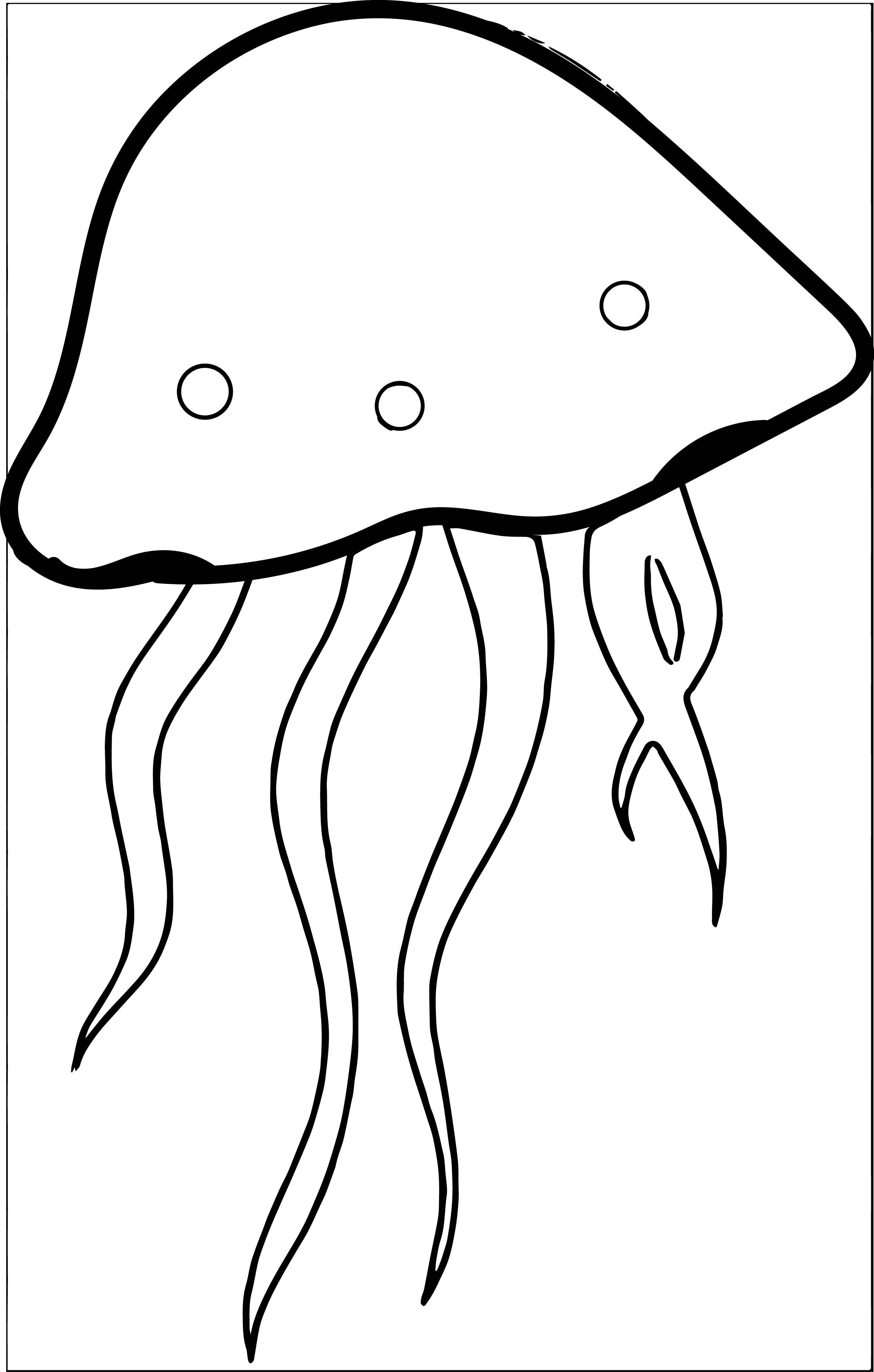 Clipart Jellyfish - Tumundografico