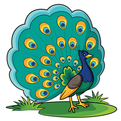 Cartoon Of A Peacock To Draw Clip Art, Vector Images ...