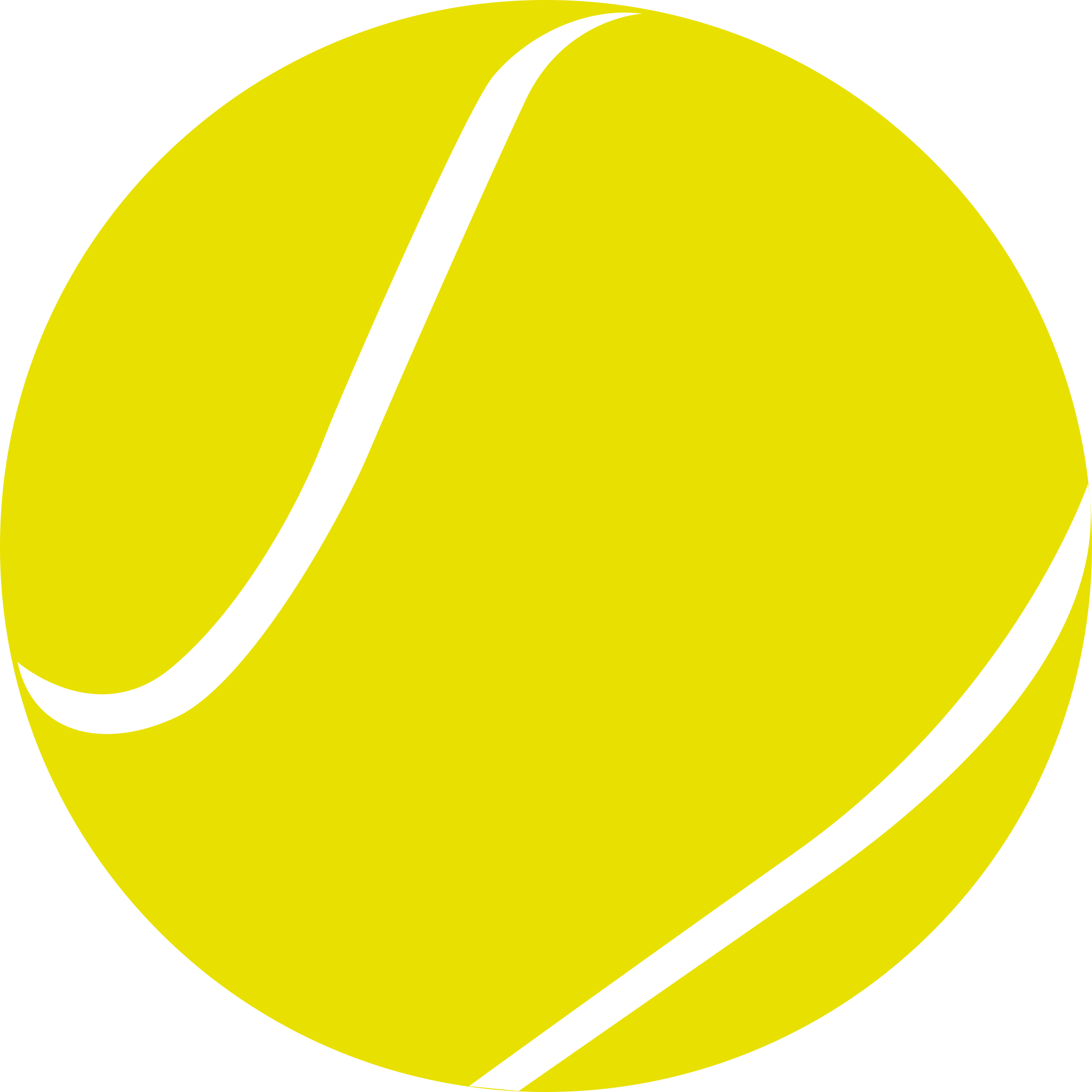 Tennis ball