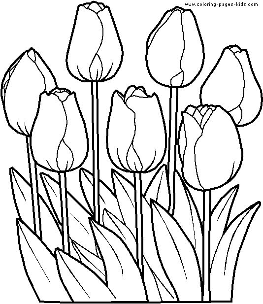 Flower Coloring Pages | Coloring ...