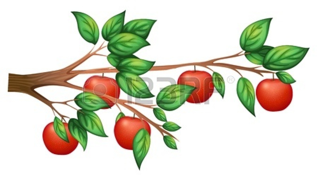 Realistic Apple Tree Drawing - Free Clipart Images