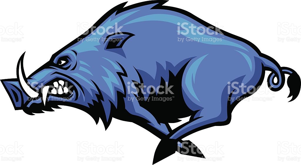 wild pig clip art free - photo #23