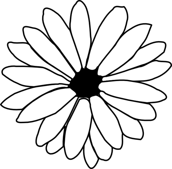 Daisy Line Drawing Clipart - Free to use Clip Art Resource