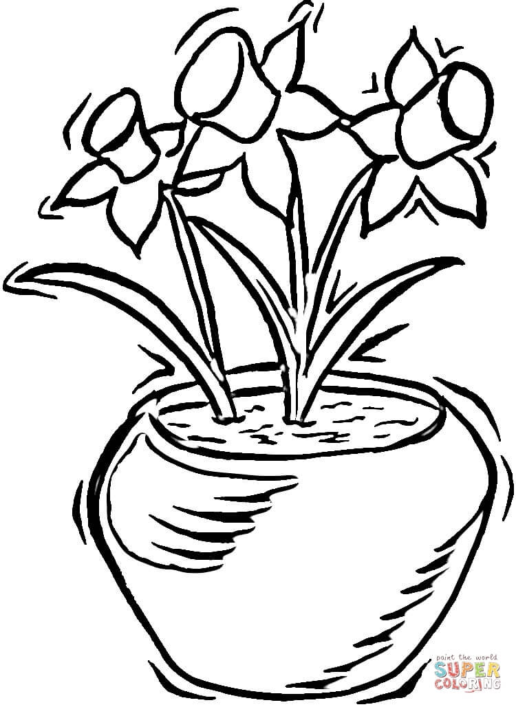 daffodil coloring pages free - photo #43