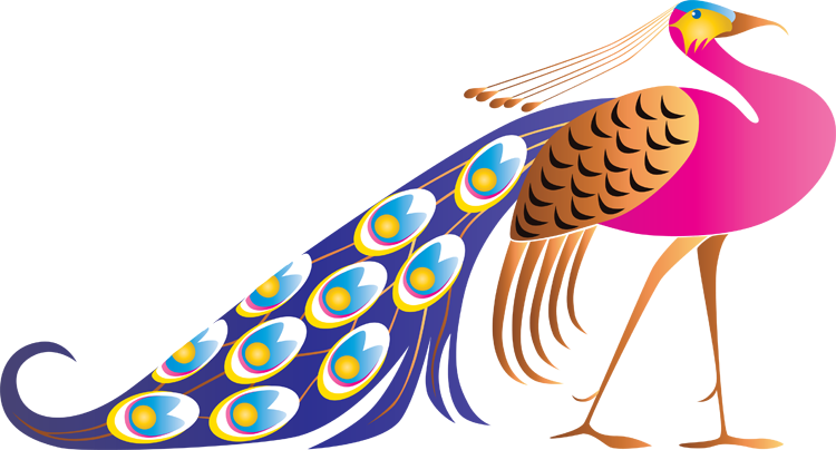 Peacock in clipart