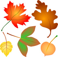 Clipart fall leaves color