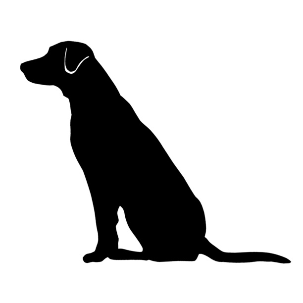 clipart yellow labrador retriever - photo #10