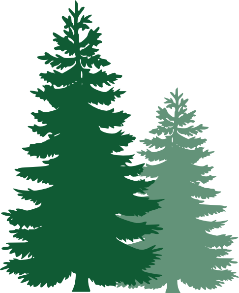 clip art pine tree | Hostted