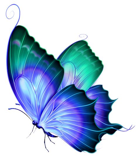Clipart butterfly png