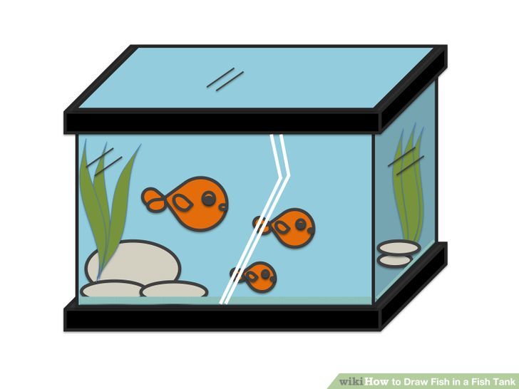 How to Draw Fish in a Fish Tank: 7 Steps (with Pictures) - wikiHow