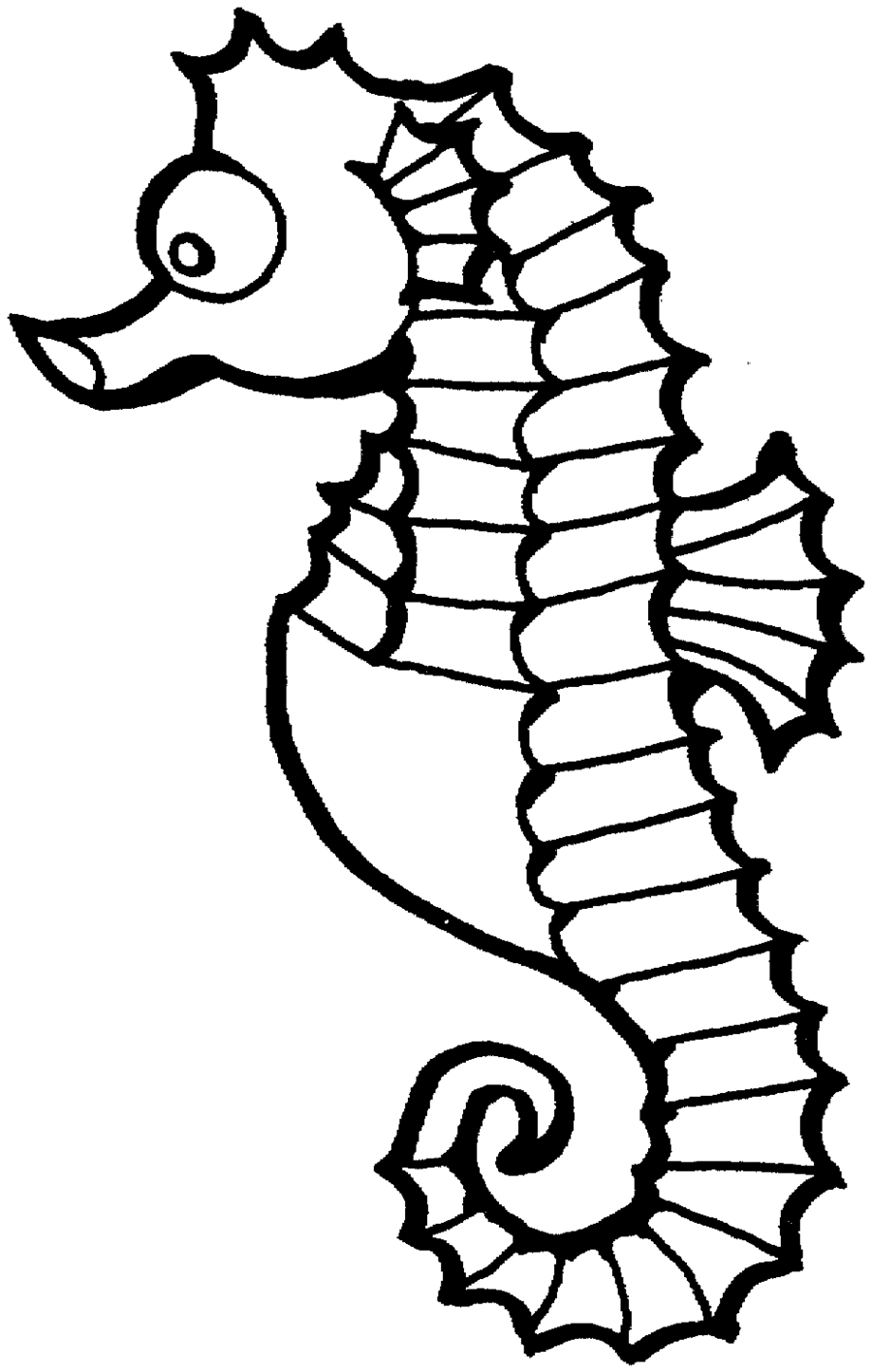 Seahorse Outline Template Clipart - Free to use Clip Art Resource