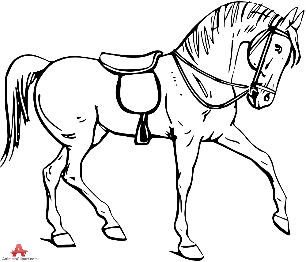 horse tack clip art - photo #45