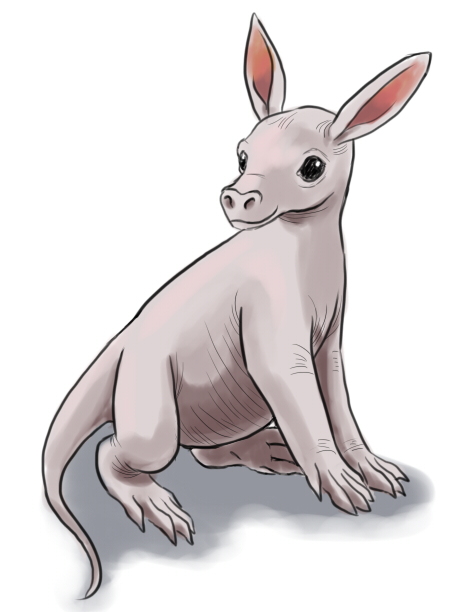 cuddly aardvark
