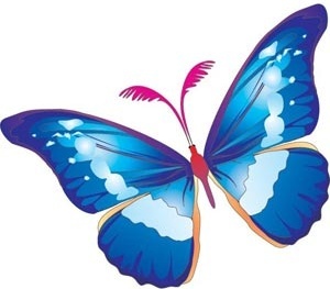 Butterfly drawings free vector download (90,626 Free vector) for ...