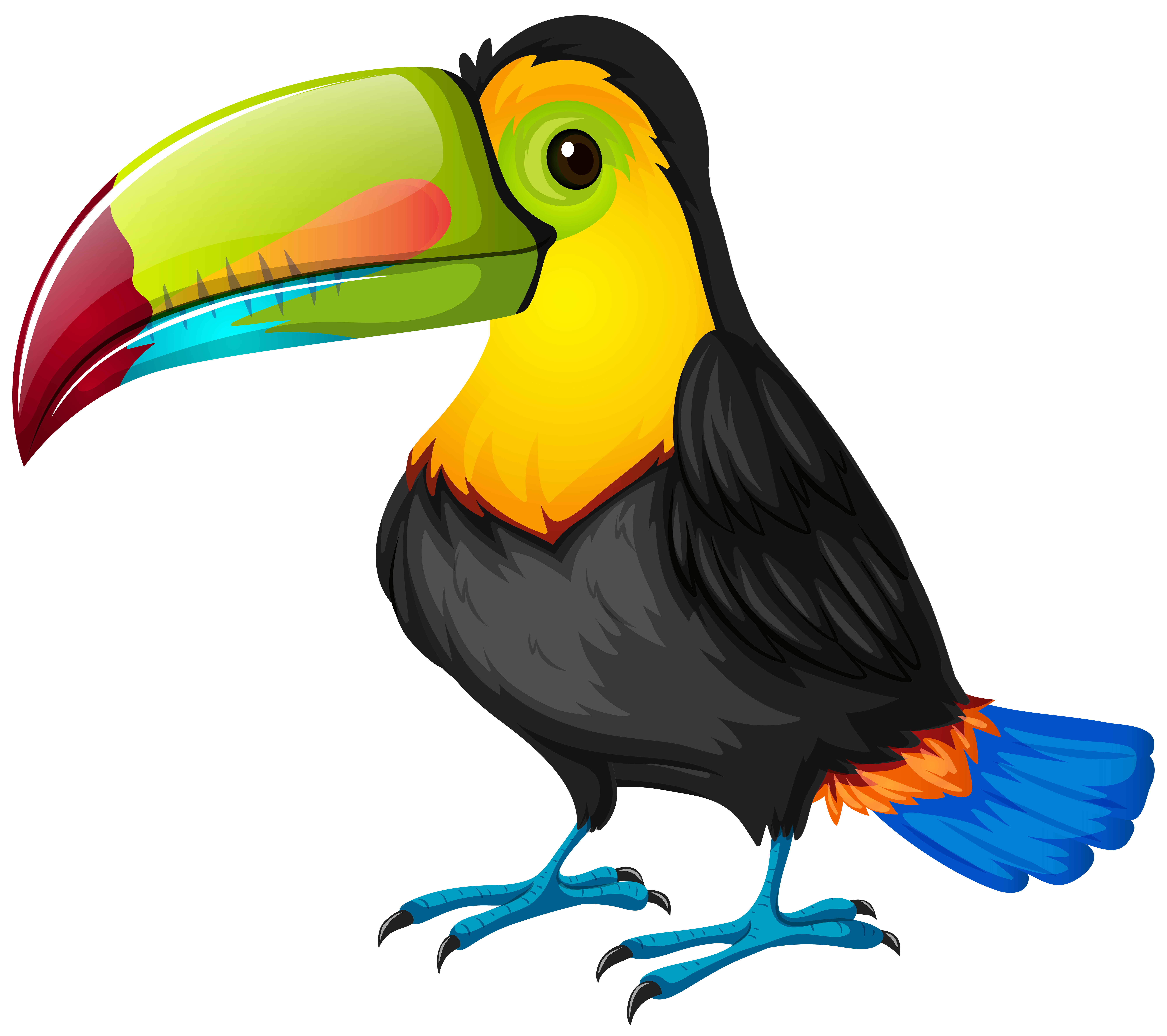 Toucan Cartoon PNG Transparent Image