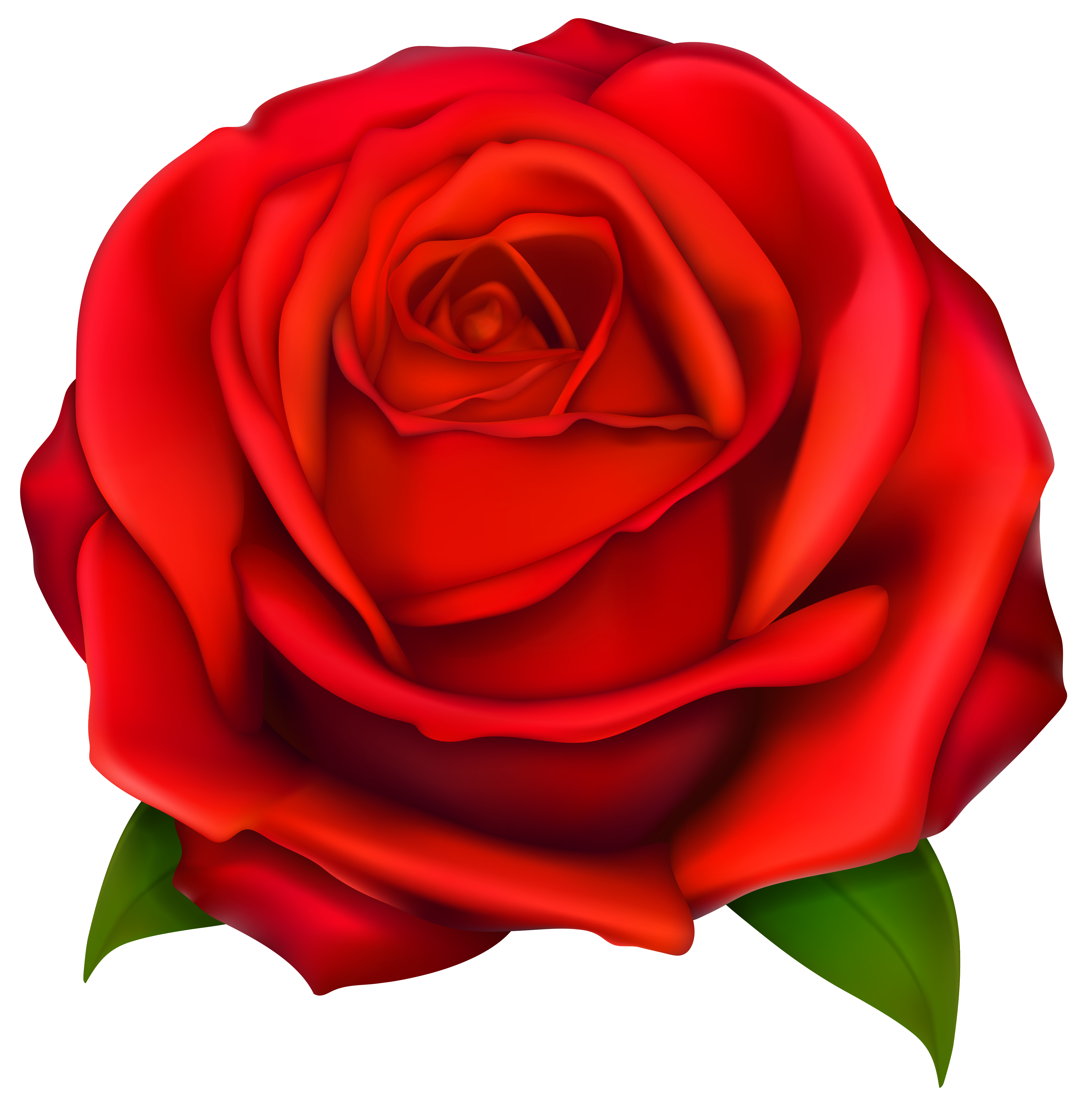 Red Rose Clip Art - Tumundografico