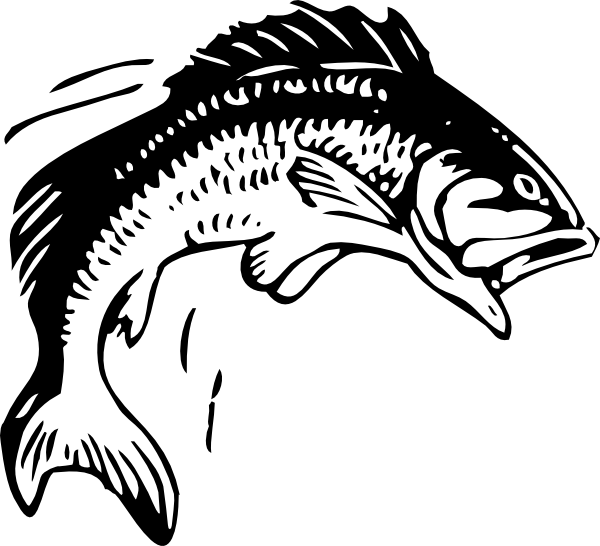 Black And White Sketched Fish Outline Royalty Free Vector Clipart ...