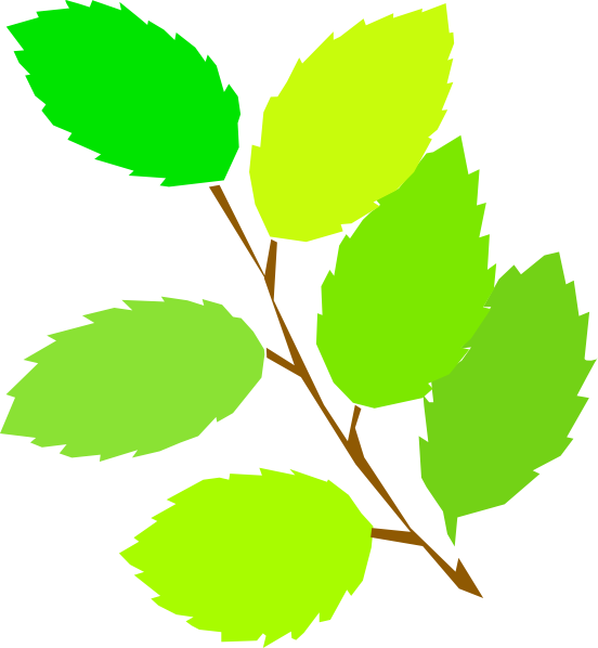 New Leaves Spring clip art Free Vector