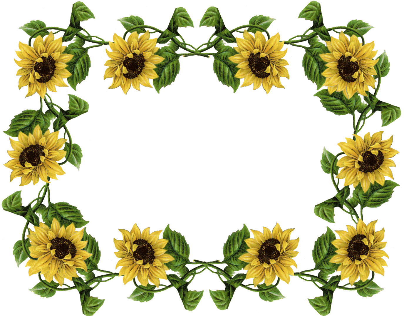 Flower Frame Border