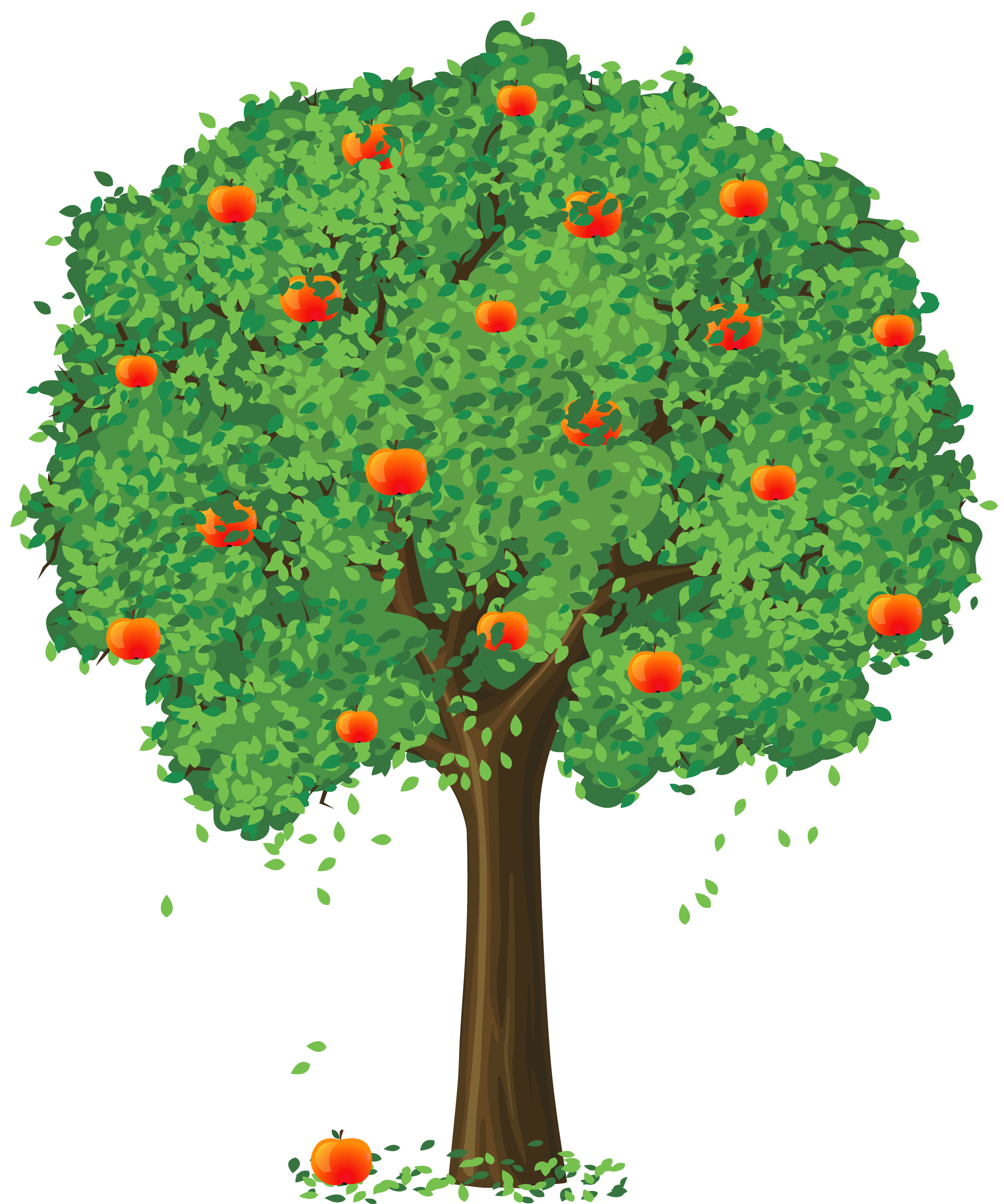free clipart of fruit trees - photo #31