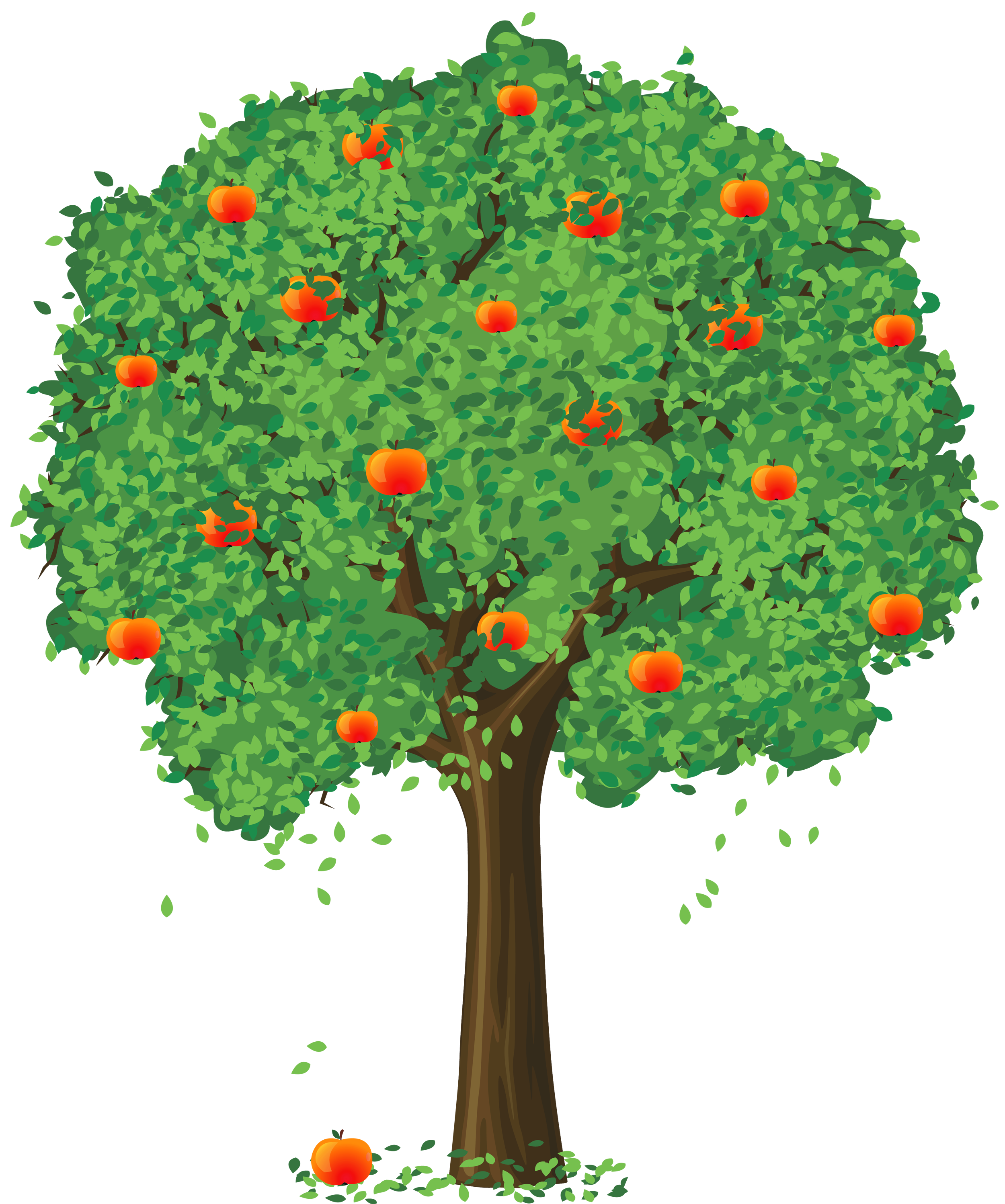 clipart orange tree - photo #6