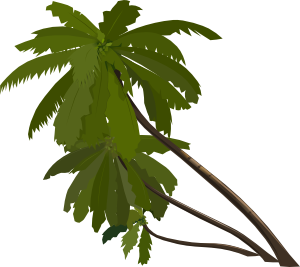Three Palm Trees clip art - vector clip art online, royalty free ...