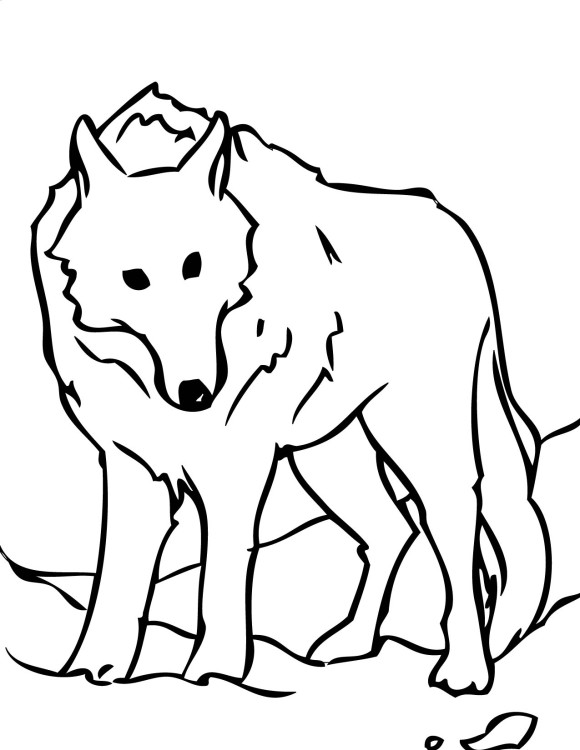 Easy Wolf Coloring Pages - Animal Coloring pages of PagesToColor.