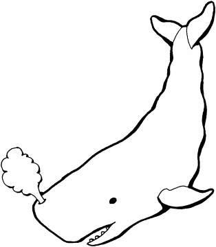 Whale Outline coloring page | Super Coloring