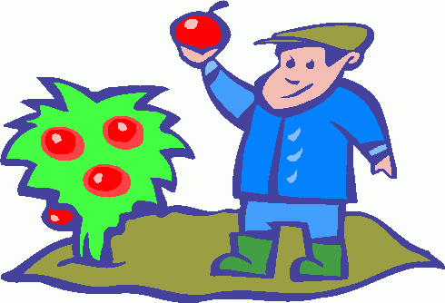 Apple- Picking Clipart