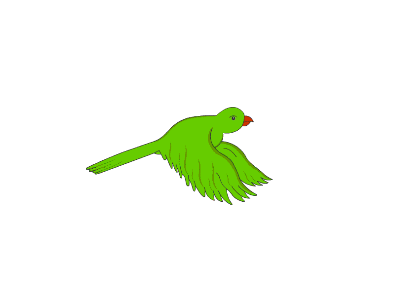 Parrot Animation Pic - ClipArt Best