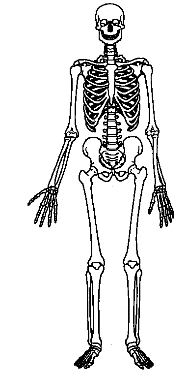 l whole body Colouring Pages