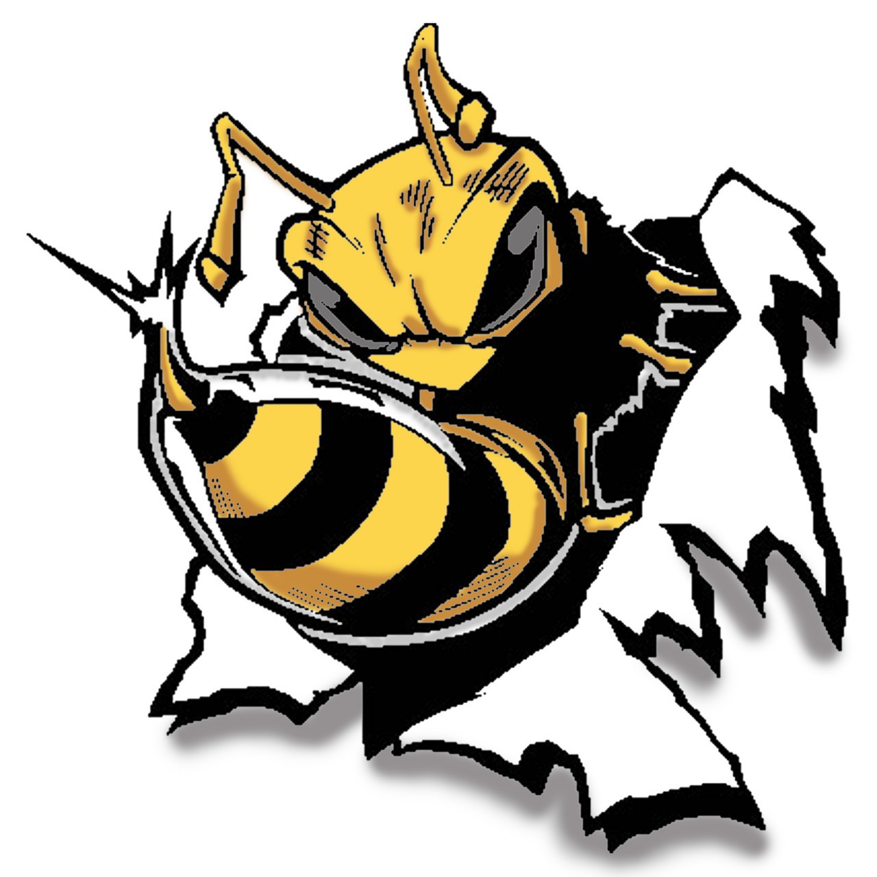 clip art yellow jacket - photo #24