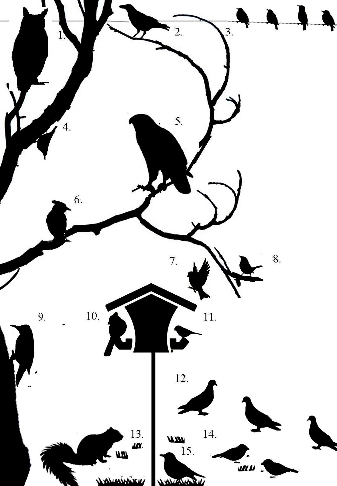 Wild Birds Unlimited: Can you identify birds by their silhouette ...