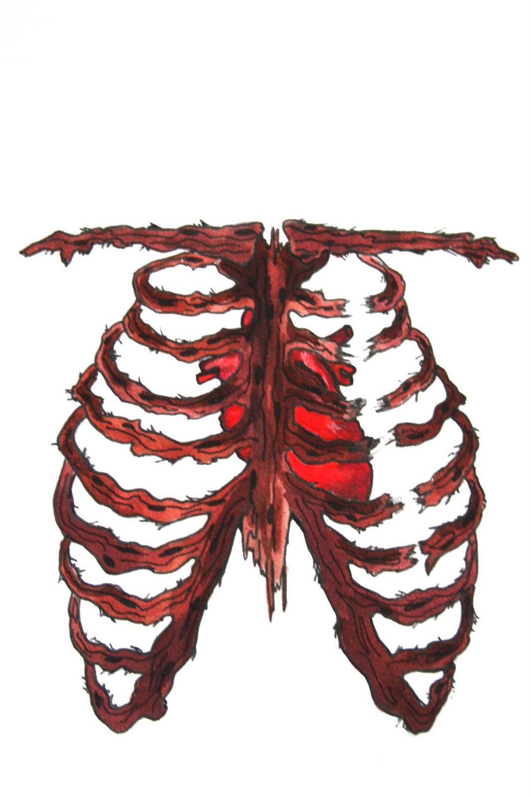 Heart And Rib Cage Drawing - ClipArt Best