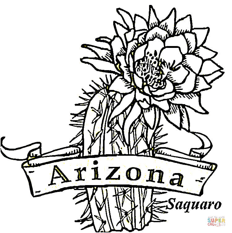 Flag of Arizona coloring page | Free Printable Coloring Pages