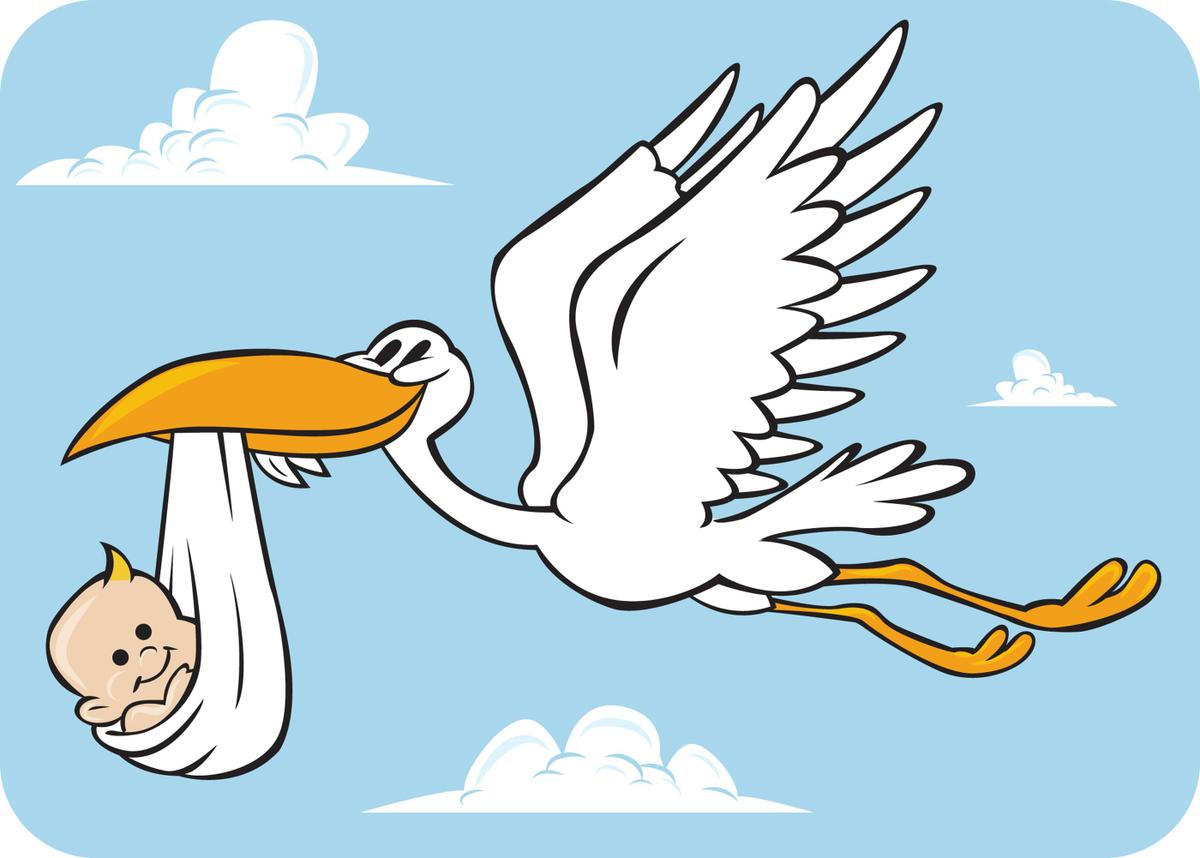 Baby Stork | Free Download Clip Art | Free Clip Art | on Clipart ...
