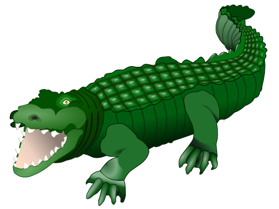 Clip Art Alligator - Tumundografico