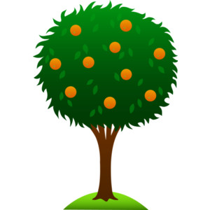 Sweet Orange Tree Free Clip Art - Polyvore