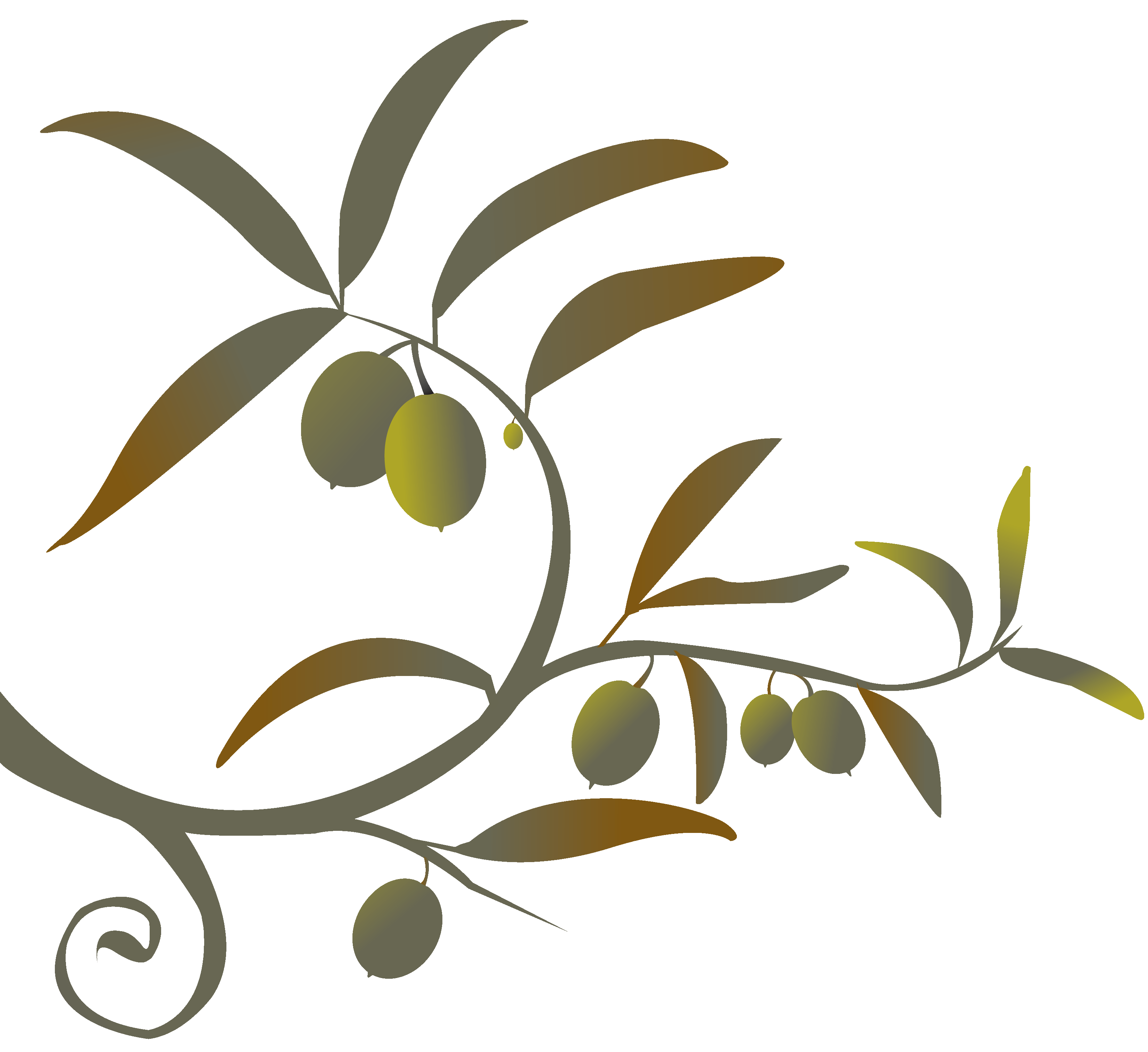 free clip art olive leaf - photo #31