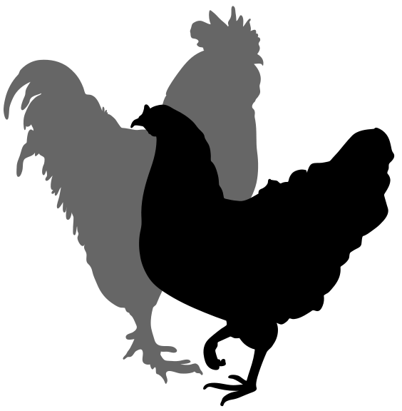 Rooster and hen silhouette 02.svg