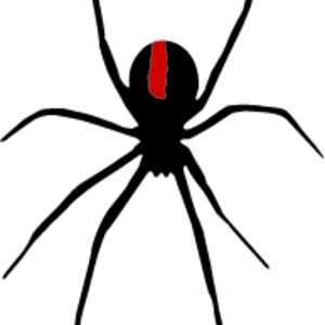 spider - 16 Free Vectors to Download | freevectors.net