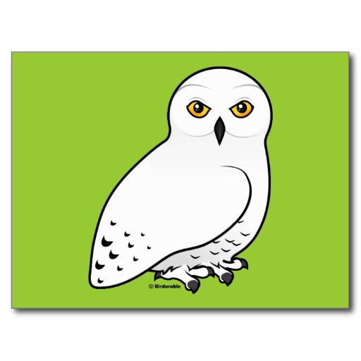 Birdorable Snowy Owl Post Cards from Zazzle.