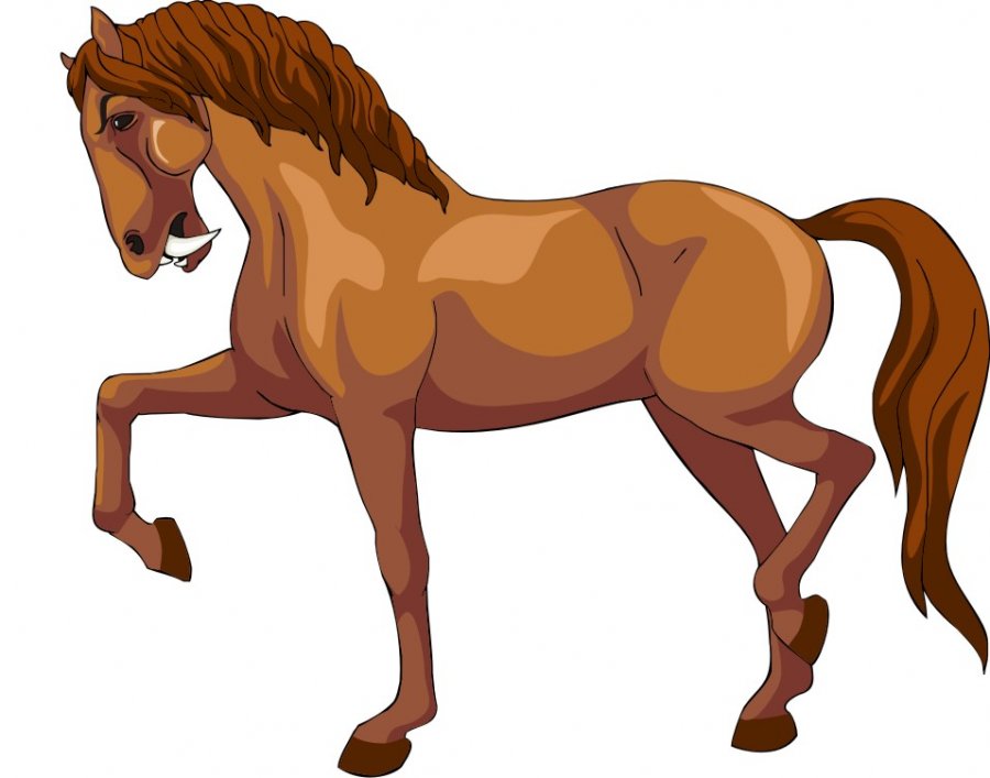 horse clipart vector - photo #46