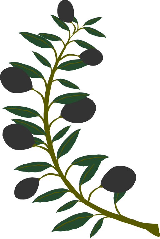 Olive Branch Black Olive Clipart Royalty Free Public ...